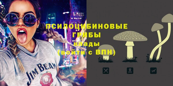 apvp Осинники