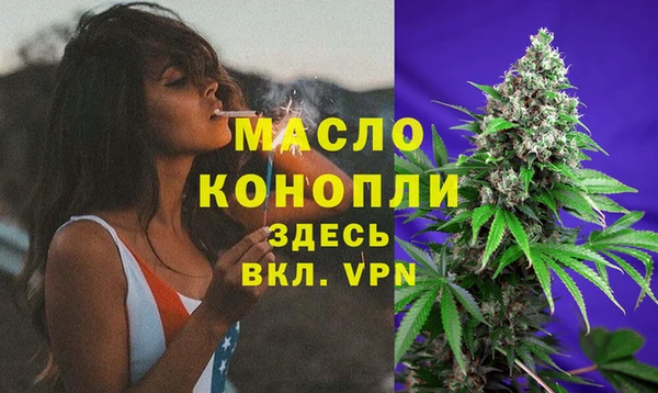 молекула духа Нягань