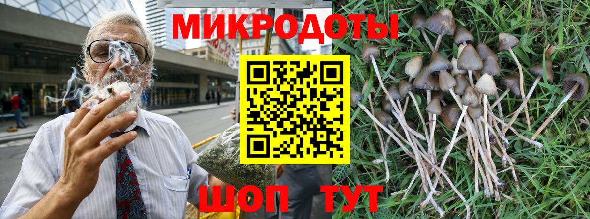 Псилоцибиновые грибы мухоморы  Вход с VPN  купить   Ревда 